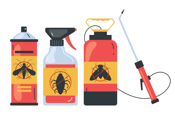 Wasp Removal Services in Norwood, OK